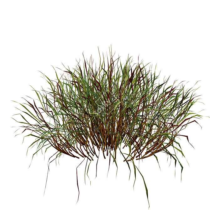 Realistic 3D Grass Model: Versatile Texture 3D model image 6