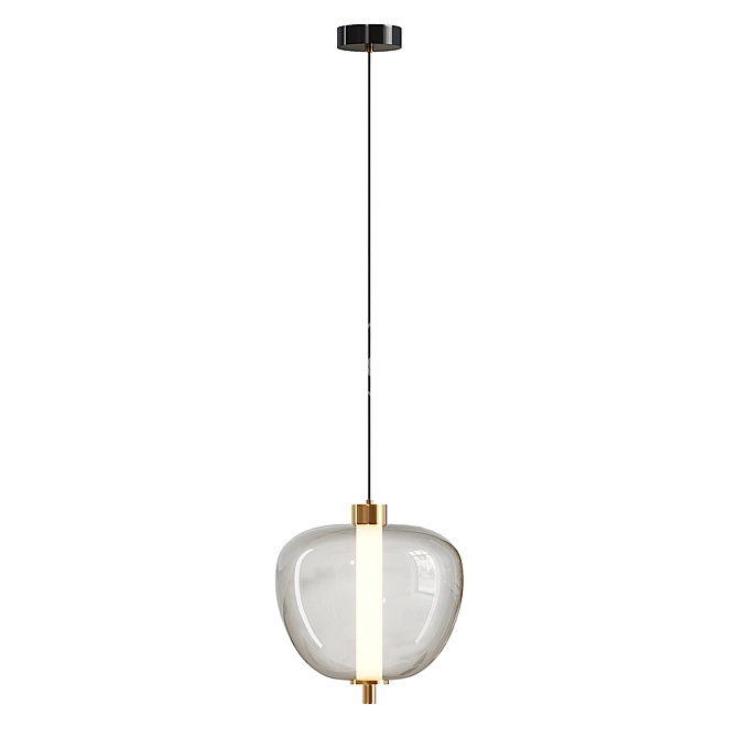 Modern Pendant Light Fixture RAVI 3D model image 3