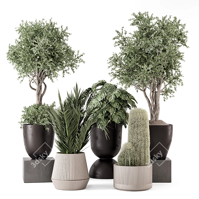 Rusty Concrete Pot Indoor Plants 3D model image 1