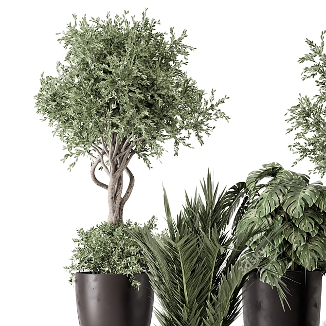 Rusty Concrete Pot Indoor Plants 3D model image 3