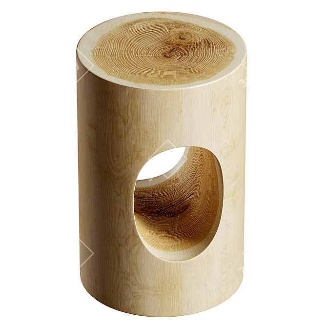 Rain Tree Wood Side Table 3D model image 2