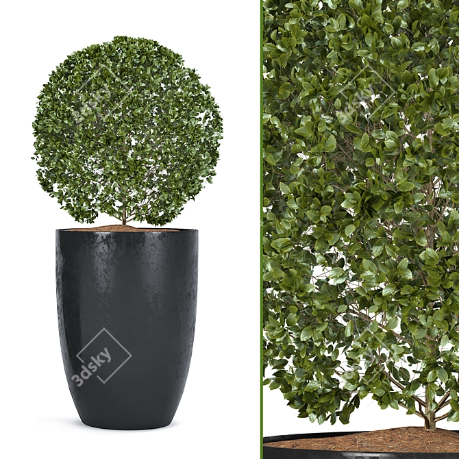  Detailed Plant Set for Rendering 3D model image 2