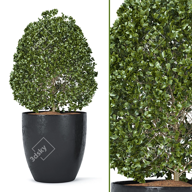  Detailed Plant Set for Rendering 3D model image 3