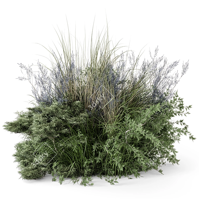 Outdoor Plants Bush Set 2430 3D model image 1