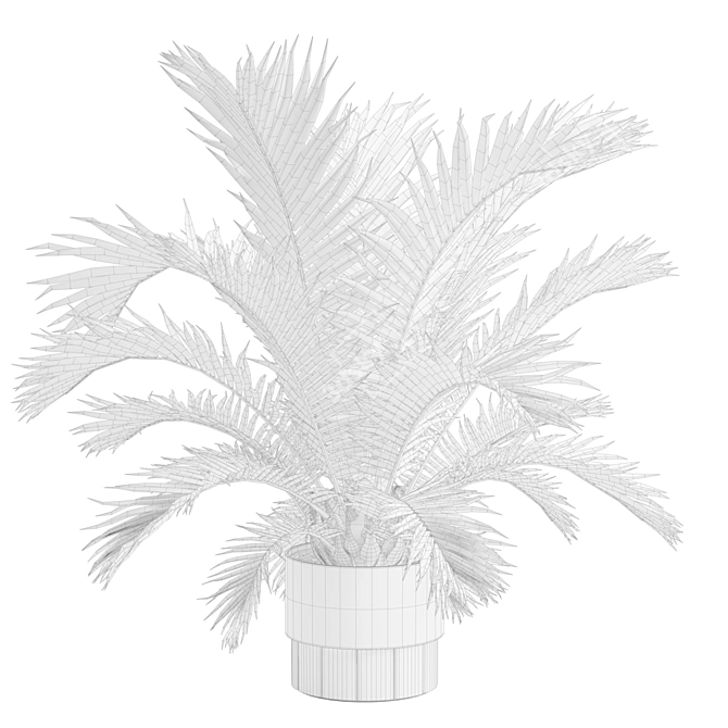 Exotic Sago Palm Ornamental Plant 3D model image 3