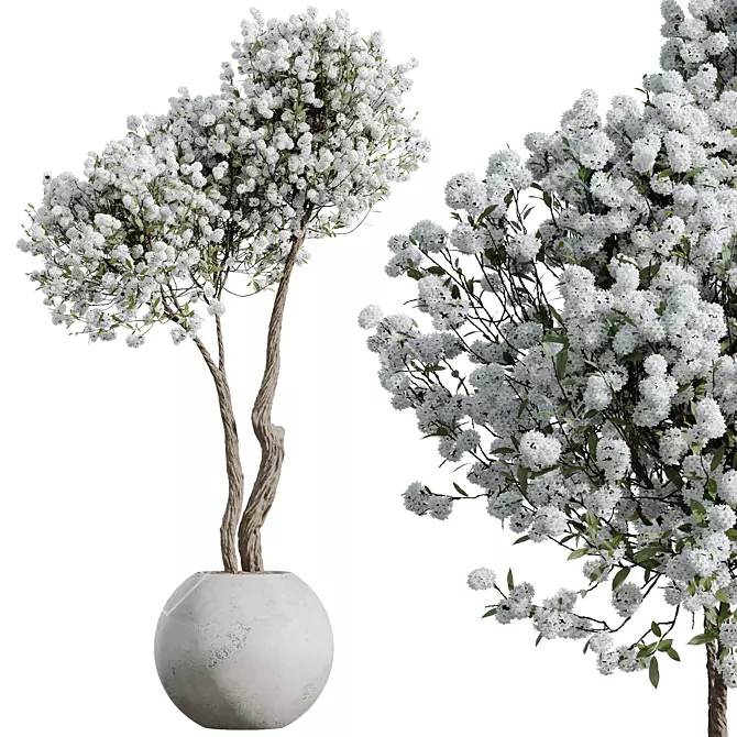 Cherry Blossom Tree St. Tropez Planter 3D model image 1