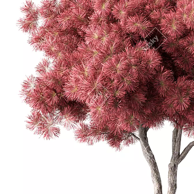 Sculpted Pine Tree No.132 3D model image 2