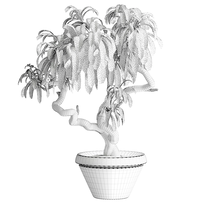 Modern Indoor Plant 3D Model 3D model image 4