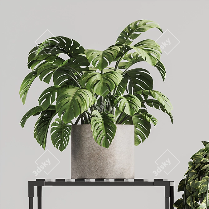 Modern Indoor Plant Stand 150 3D model image 5