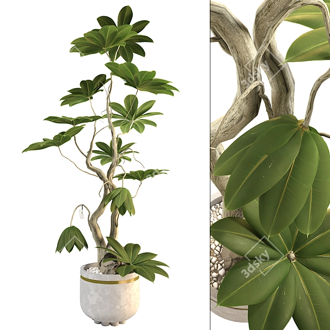 3D Plant & Decor Collection 3D model image 1