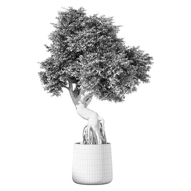 Zen Bonsai Tree Set 3D model image 4