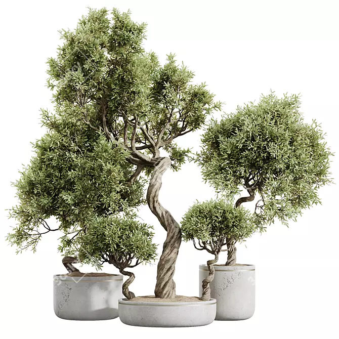 Premium Olive Tree Set: 3D Models 3D model image 1