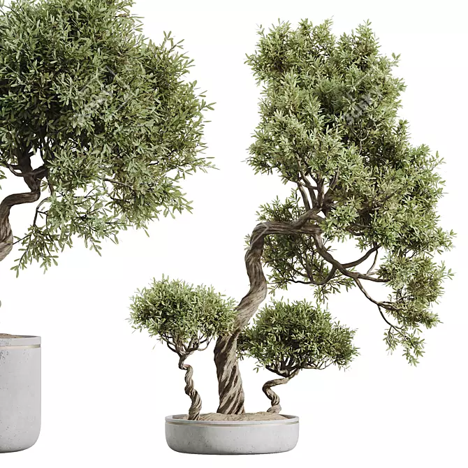 Premium Olive Tree Set: 3D Models 3D model image 3