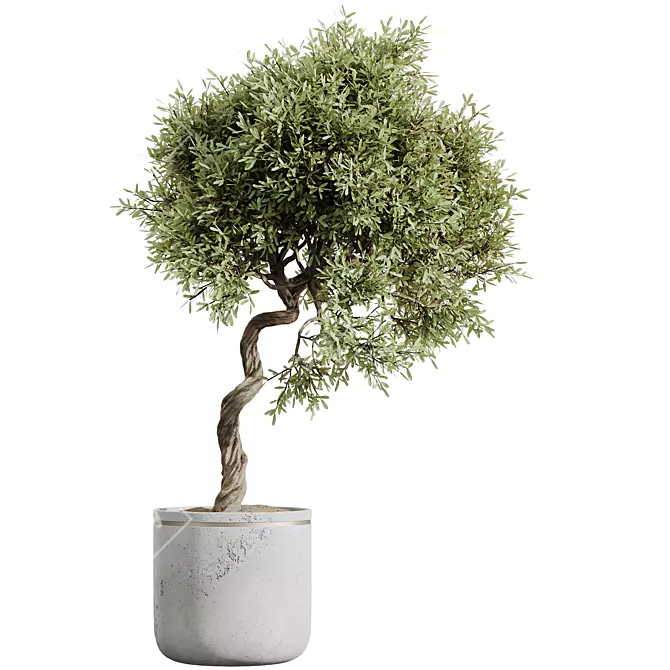 Premium Olive Tree Set: 3D Models 3D model image 4