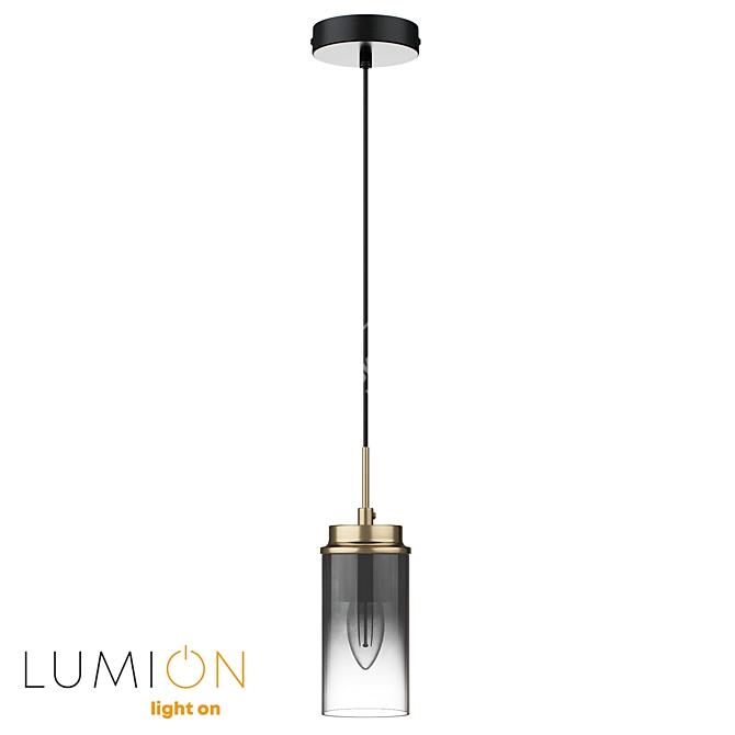  Lumion Hanging Pendant Light 3D model image 2