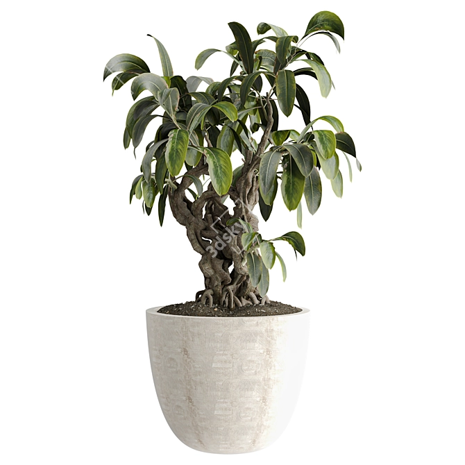 Modern Indoor Plant 531 Decor 3D model image 1