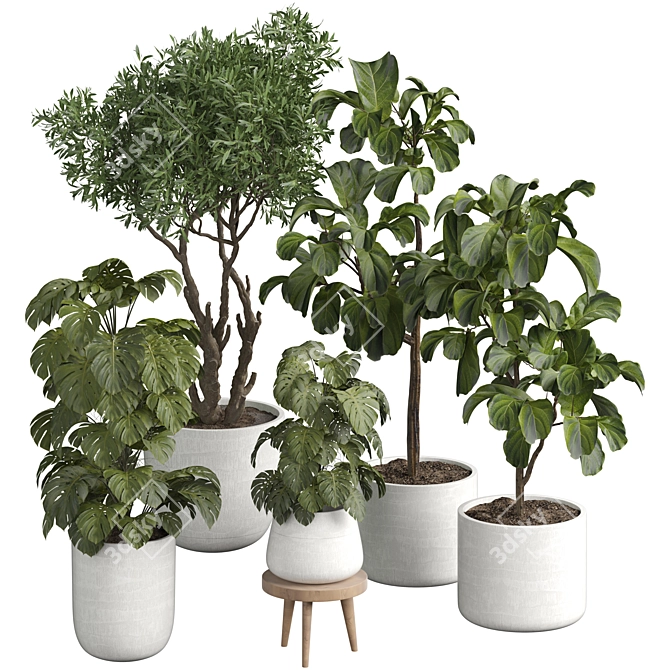 Modern Indoor Plant 3D Model 3D model image 1