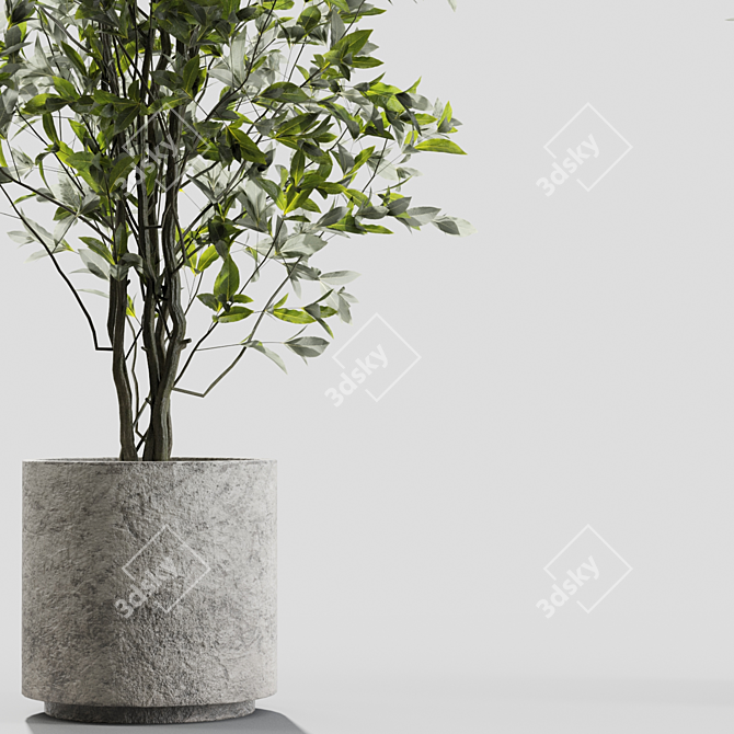 Decorative Branches in Vases 3D model image 2