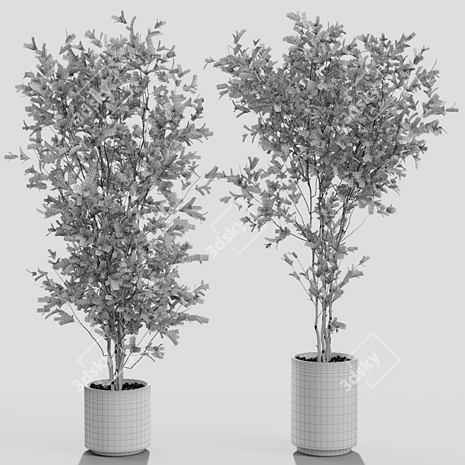 Decorative Branches in Vases 3D model image 4