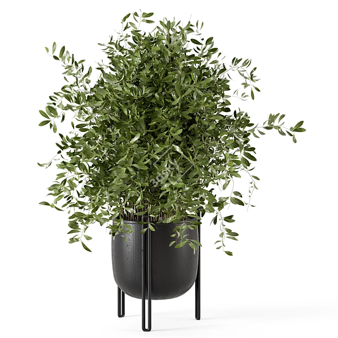  Minimalistic Indoor Plant Set 3D model image 2