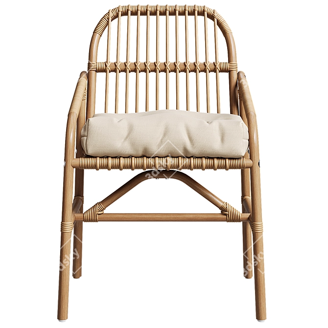 Ikea SALNO Rattan Armchair 3D model image 4