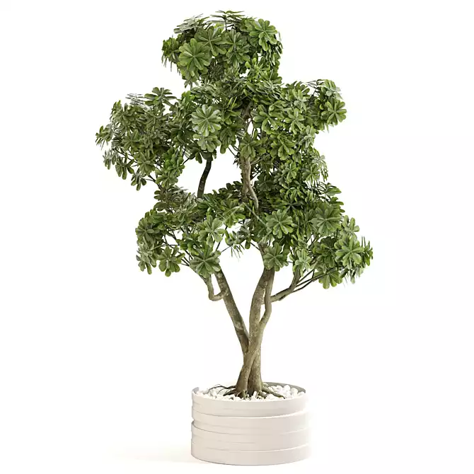 Elegance Indoor Plant Set 0127 3D model image 2