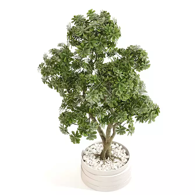 Elegance Indoor Plant Set 0127 3D model image 4