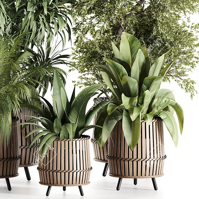 Lush Indoor Plants in Wooden Pots 3D model image 2