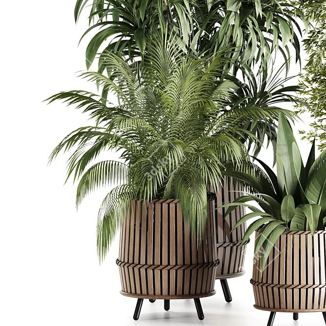 Lush Indoor Plants in Wooden Pots 3D model image 3