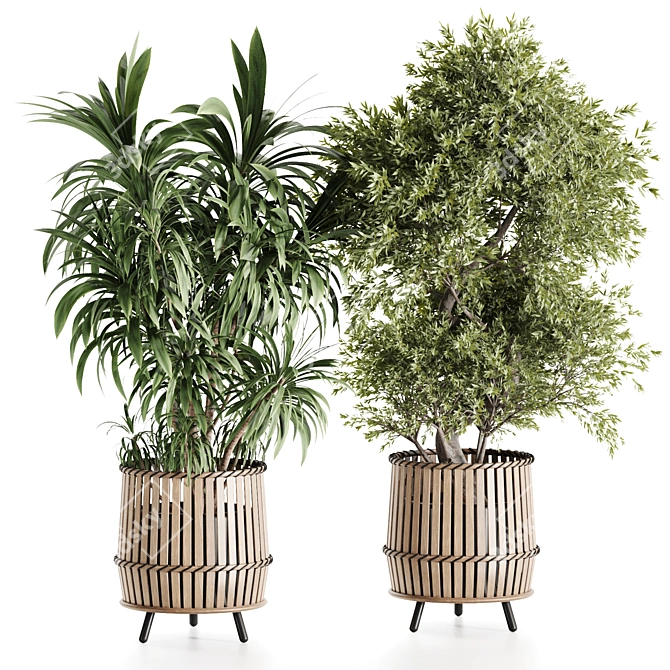 Lush Indoor Plants in Wooden Pots 3D model image 5