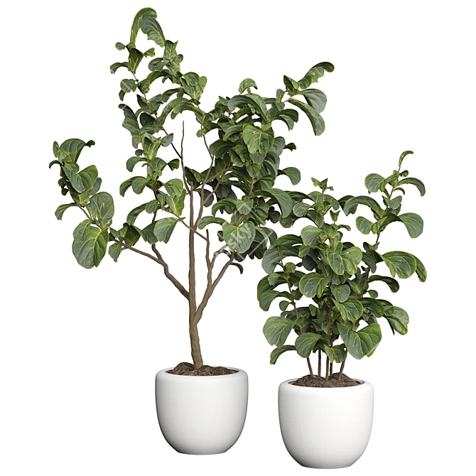 Premium 3D Indoor Plant Model 3D model image 1