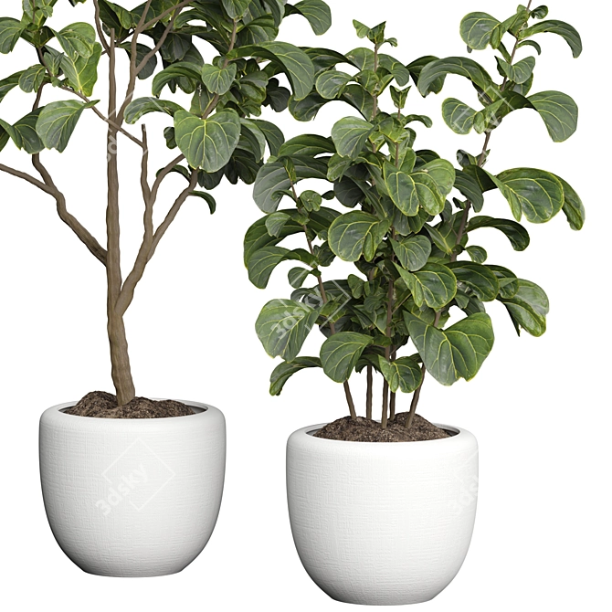 Premium 3D Indoor Plant Model 3D model image 2