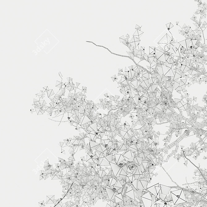 Cherry Blossom Tree Coll. 3D model image 5