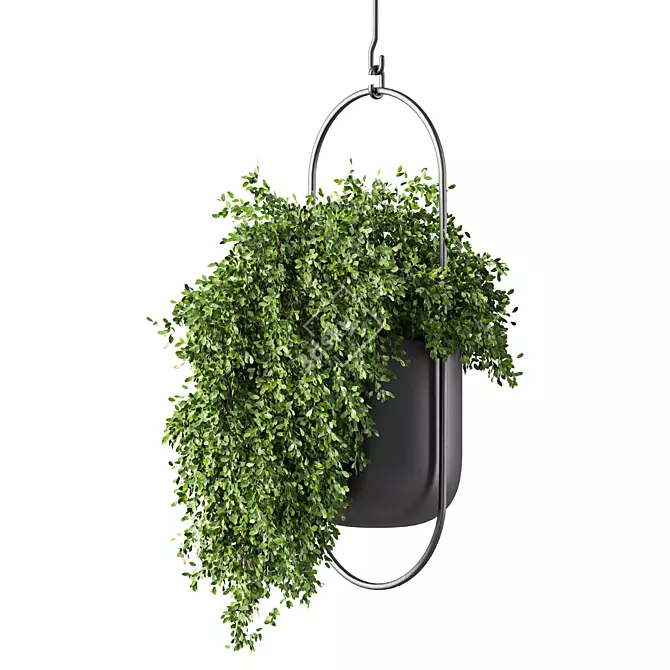 Modern Hanging Plant Set - 3D 3D model image 1