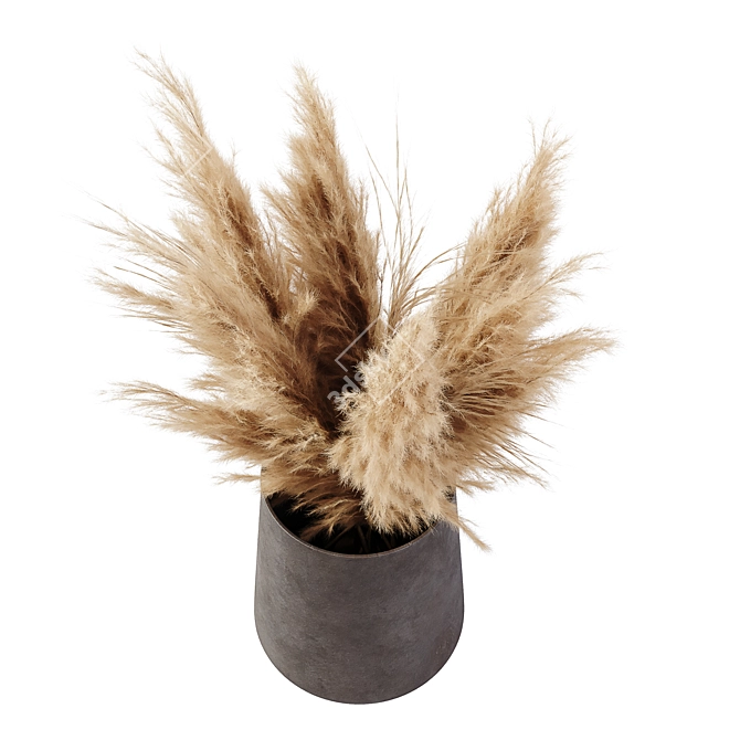 Lush Pampas Plant 3D Model 3D model image 4