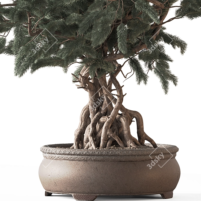 Zen Bonsai Indoor Plant Set 3D model image 5