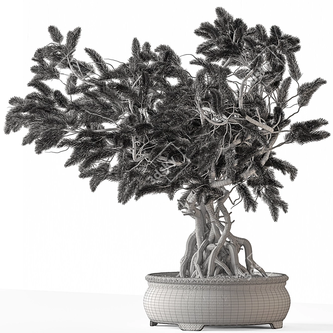 Zen Bonsai Indoor Plant Set 3D model image 6