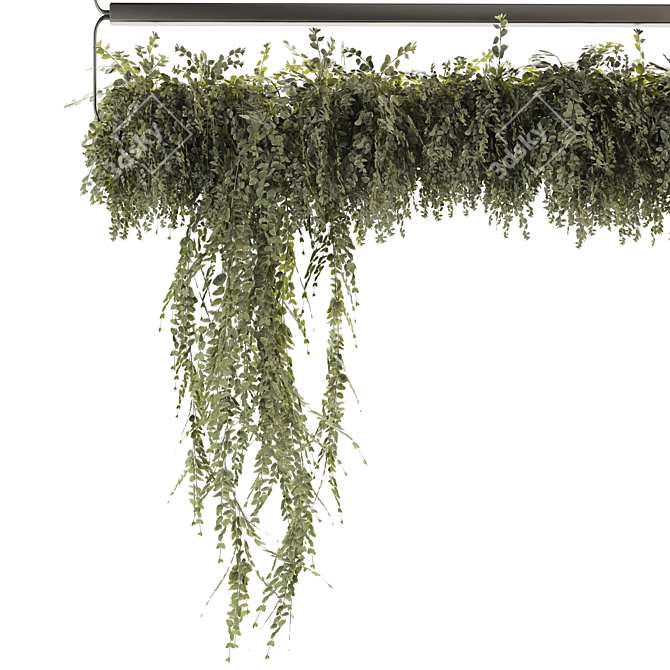 Modern Indoor Ivy Plant Set 3D model image 5