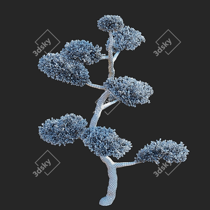 Elegant Juniperus niwaki Tree 3D model image 3