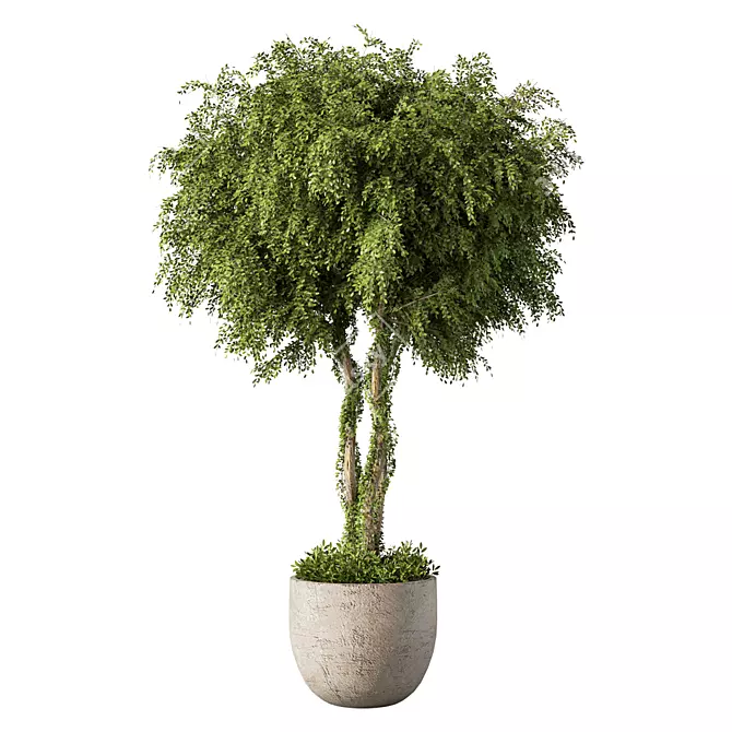 Greenery Haven Plant Set 180 3D model image 1