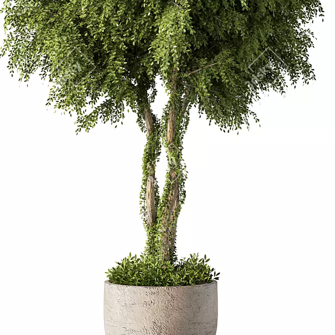 Greenery Haven Plant Set 180 3D model image 3