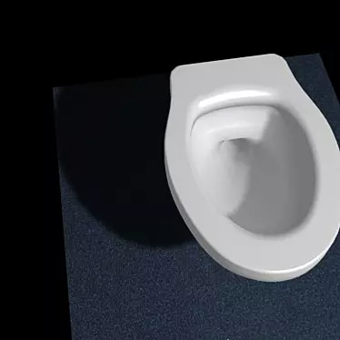 embeddable toilet