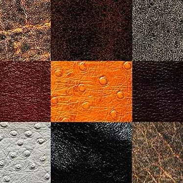  Archive of 10 Leather Textures 3D model image 1 