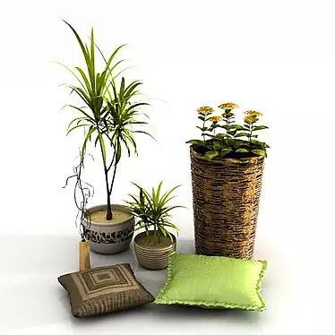 Country House Live Plant Set 3D model image 1 