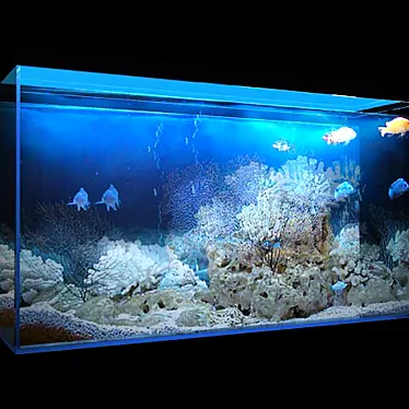 Aquarium