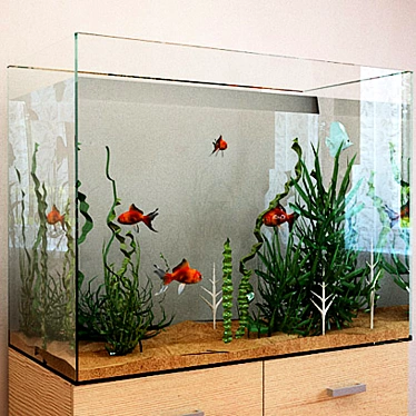 Aquarium