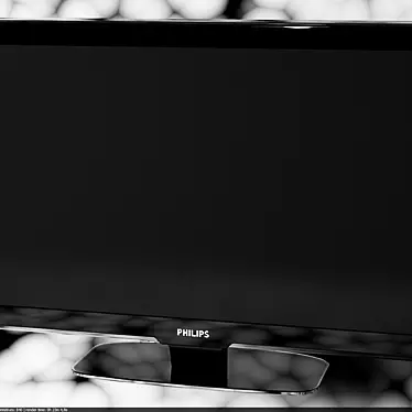 Philips 42PHL5603: Stunning LCD TV 3D model image 1 