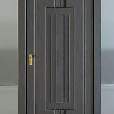 Versatile Door 30: Compact and Functional 3D model image 1 