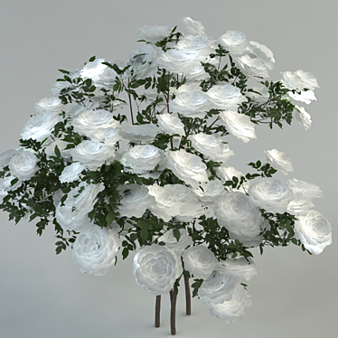  Petite White Rose 3D model image 1 