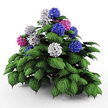 Flourishing Blooms Hydrangea Bush 3D model image 1 